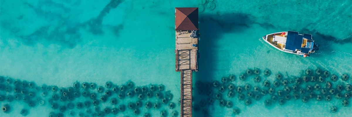 "Wave of Change" bei Iberostar-Hotels "Wave of Change" bei Iberostar-Hotels