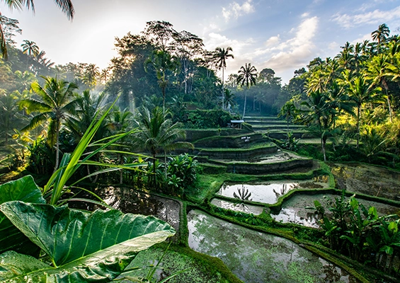 Bali-Urlaub