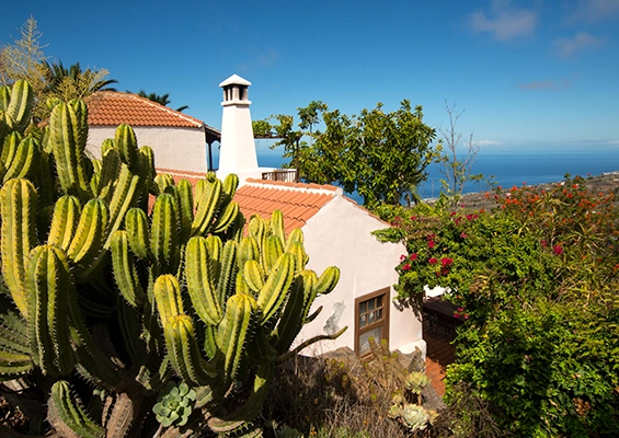 La Palma