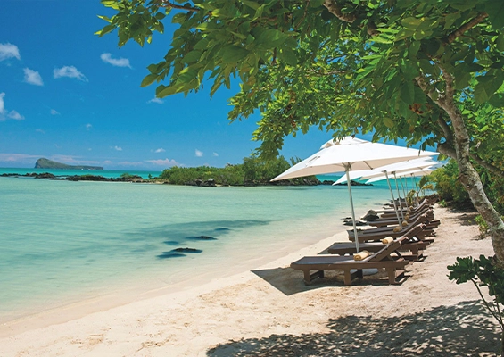 Deine Traumhochzeit auf Mauritius