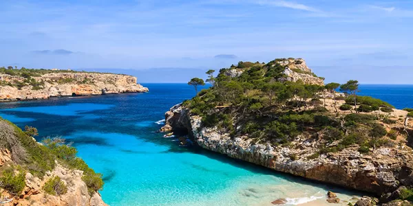 Felsige Küste mit Pinien und klarem blauem Wasser auf Mallorca unter blauem Himmel