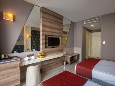 Hane Sun Elite Hotel - Doppelzimmer