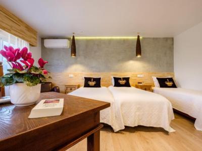 Villas D. Dinis-Charming Residence - Suite
