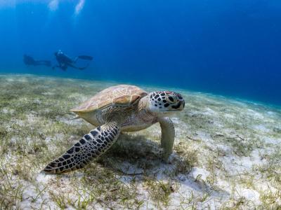 Le Meridien Maldives Resort & Spa