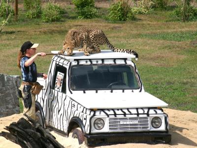 Safariland Stukenbrock Erlebnisresort