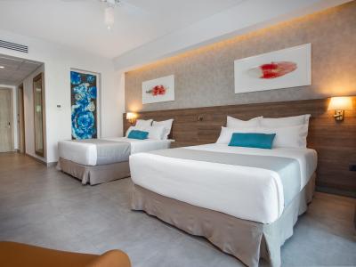 Serenade Punta Cana Beach & Spa Resort - Luxury Tropical View
