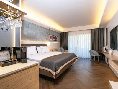 Lara Barut Collection - Deluxe Doppelzimmer (DDS/MPX/2DM)