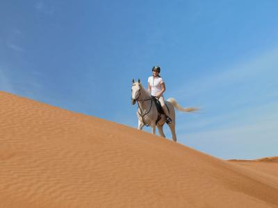 The Ritz-Carlton Ras Al Khaimah, Al Wadi Desert - sport